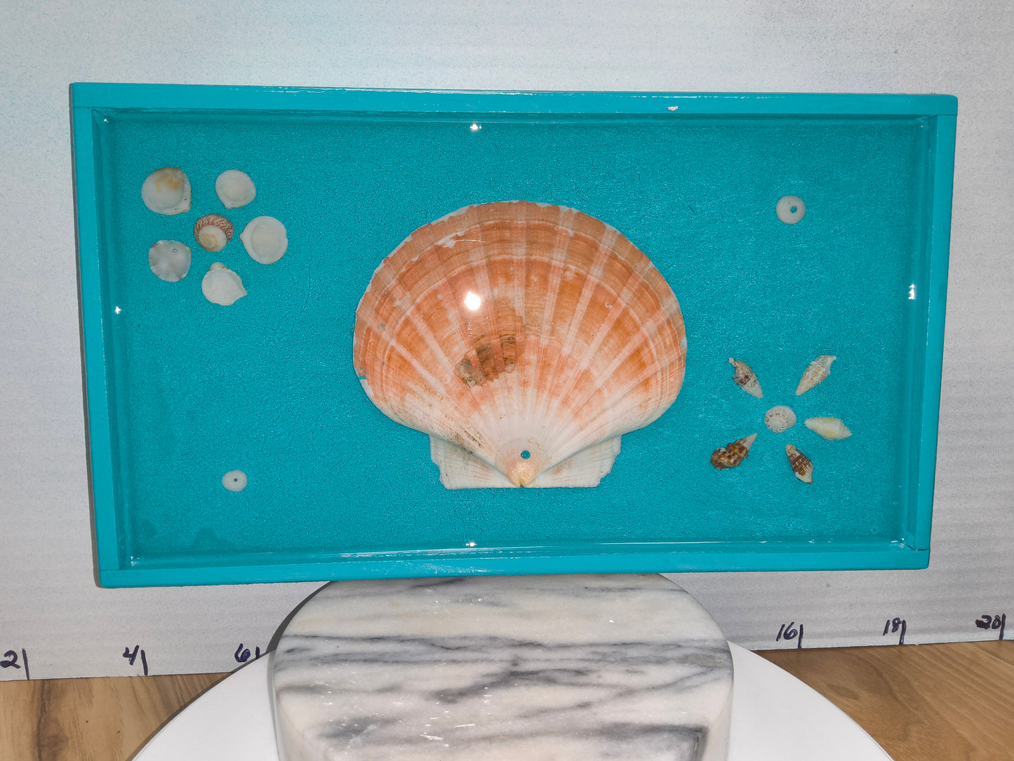 Shells in a Sea of Blue