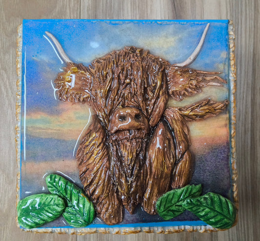 Highland Cow